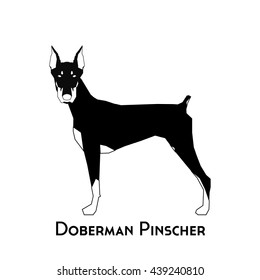 Isolated silhouette of a doberman pinscher on a white background