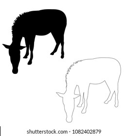 isolated, silhouette of a donkey