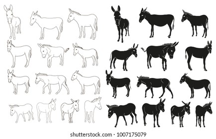 isolated silhouette of a donkey, set