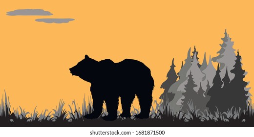  isolated silhouette of a drawn bear against the sky and a dark forest