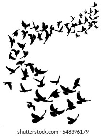 isolated silhouette flocks of flying pigeons,vector