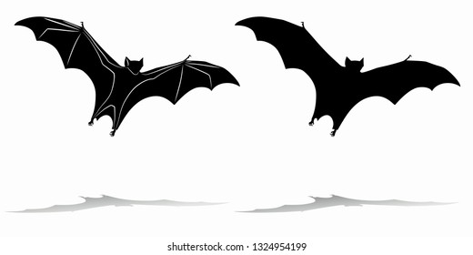 isolated silhouette of a flying bat, black and white drawing, white background