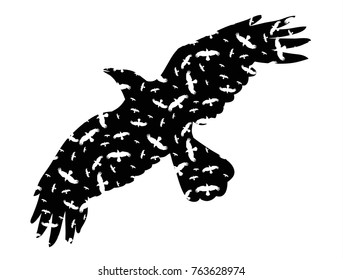 isolated silhouette of flying bird