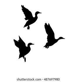 Isolated silhouette of flying birds. Abstract ducks. Wild birds on the white background. Vector illustration.
