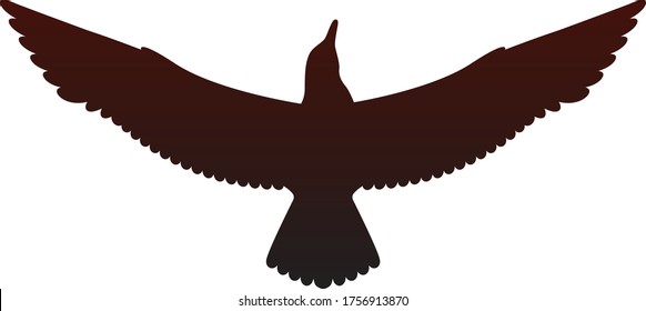 Isolated silhouette of flying seagull on the sky