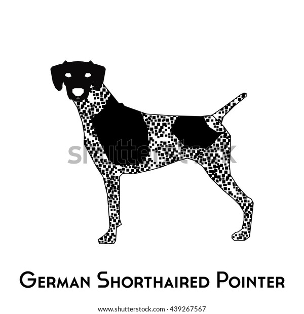 Isolated Silhouette German Shorthaired Pointer On Stock Vector