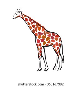 Isolated silhouette of Giraffe