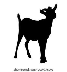 isolated silhouette of goat with horns on white background