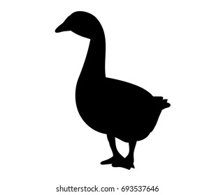 Goose Meat Cutting Charts Vector Illustration Stock Vector (Royalty ...