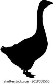 Isolated silhouette of a goose and a text goose. Creative graphic design for a butcher shop, farmer's market. Poster on the theme of animals. Vector Illustration on a white background.