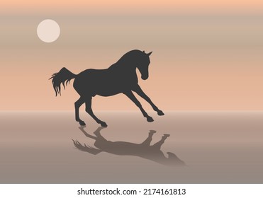 isolated silhouette of a horse galloping along the seashore against the sky