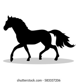 Isolated silhouette of a horse. Horse. Vector illustration.