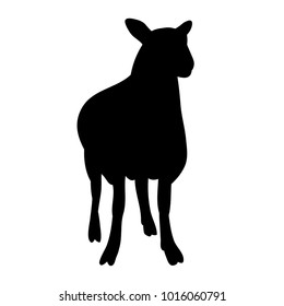 isolated silhouette of a lamb