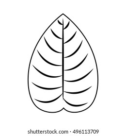 Isolated and silhouette leaf design