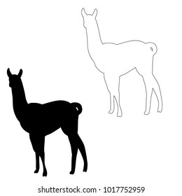  isolated silhouette of llama on white background