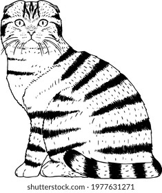 Isolated silhouette of a realistic cat Vector