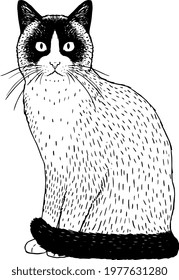 Isolated silhouette of a realistic cat Vector