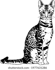 Isolated silhouette of a realistic cat Vector