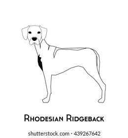 Isolated silhouette of a Rhodesian Ridgeback on a white background