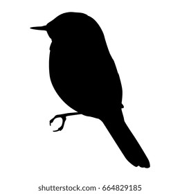 Isolated silhouette of a small bird