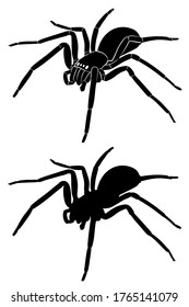 isolated silhouette of spider , black and white drawing, white background