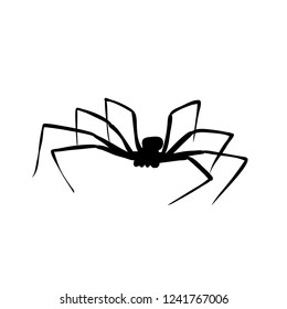  isolated silhouette of spider on white background