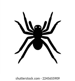 Isolated silhouette of a Spider on a white. A black spider silhouette on a white background with a shadow of its legs and head, and a black spider's head