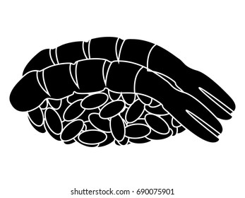 Isolated silhouette of a sushi, Vector illustration