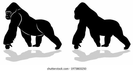 isolated silhouette of a walking gorilla, simple vector drawing on a white background