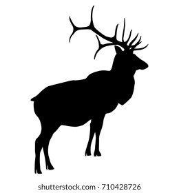 Isolated silhouette of wapiti or American elk.