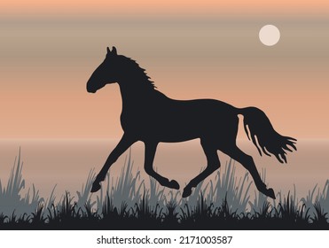 isolated silhouette, a young horse trotting on the grass against the sky