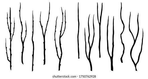 Isolated silhouettes of different branches without leaves. Handwritten graphic technique