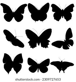 Isolated silhouettes of tropical butterflies. Recognizable insect species.