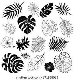 Isolated Silhouettes Of Tropical Palm Leaves, Jungle Leaves. Vector Set Of Hand Drawn Llustrations On White Background.