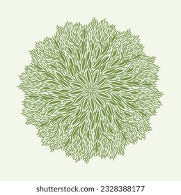 Mandala floral simple aislada. Ilustración ornamental vectorial.