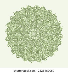 Isolated simple floral mandala. Vector ornamental illustration.