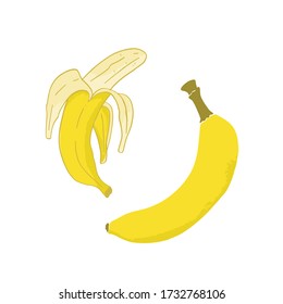 Isolated simple illustration of bananas in cartoon style. Open and closed hand drawn fruit