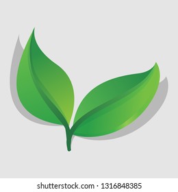 isolated simple modern look fresh green leaf with deep green branch plant best for icon, presentation or web element illustration