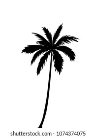 Isolated single black vector silhouette of a palm tree