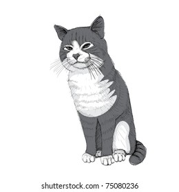 isolated sitting cat on white - illustration