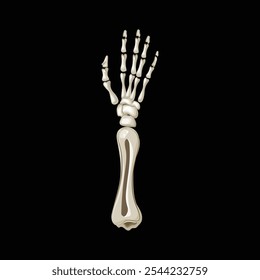 Isolated skeleton arm with open hand on black background, ideal for Halloween decorations and eerie designs