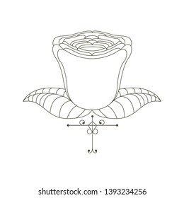 Isolated sketch of a beautiful flower - Vector