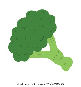 Esbozo aislado de un ícono de brócoli Vector de diseño plano