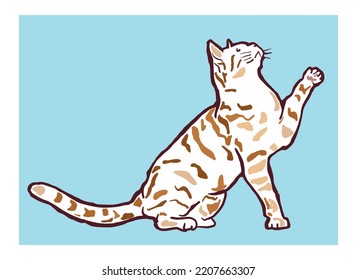 Isolated sketch cat on blue background. Vector illustration