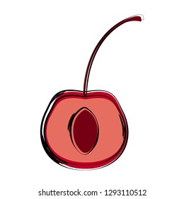 Isolated sketch of a cut cherry image. Vector illustration design