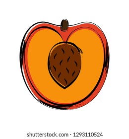 Isolated sketch of a cut peach image. Vector illustration design