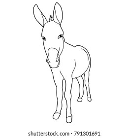 Isolated Sketch Of A Donkey On A White Background