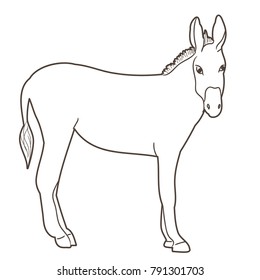  isolated sketch of a donkey standing