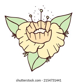 Isolated sketch of a flower Spring time Vector illustration