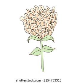 Isolated sketch of a flower Spring time Vector illustration